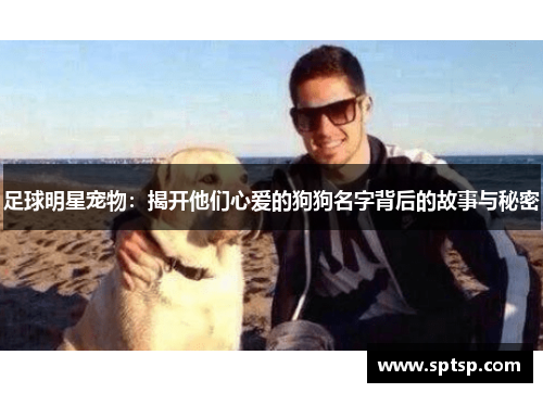 足球明星宠物：揭开他们心爱的狗狗名字背后的故事与秘密