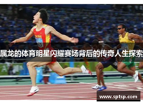 属龙的体育明星闪耀赛场背后的传奇人生探索